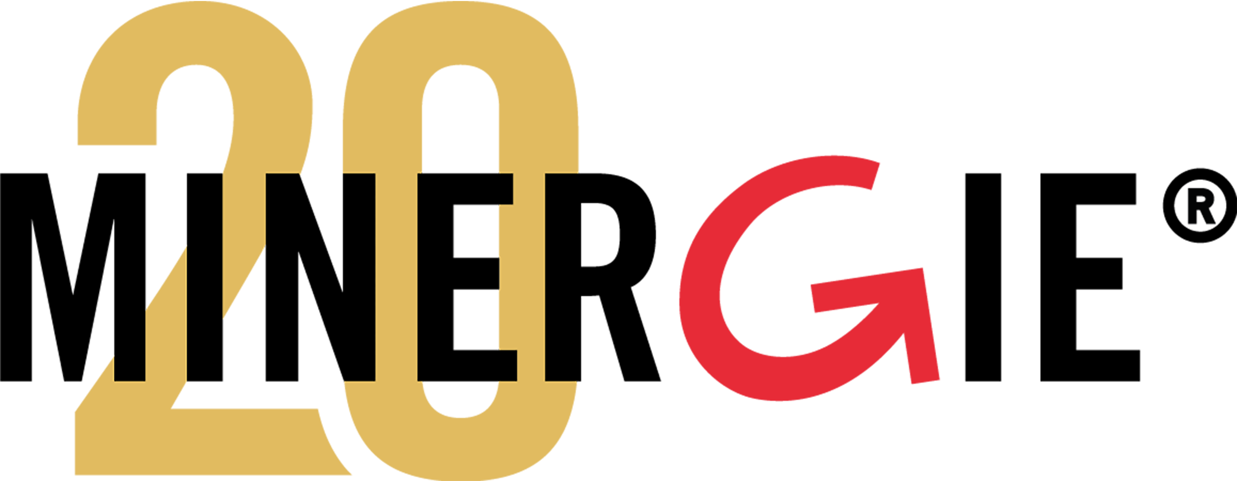 20 Jahre Minergie