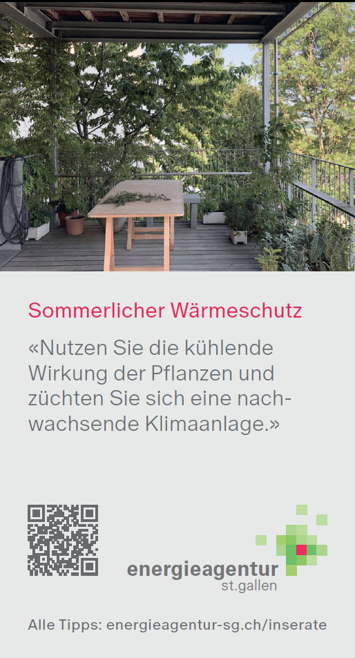 Sommerlicher Wärmeschutz – Pflanzen als natürliche Kühlung